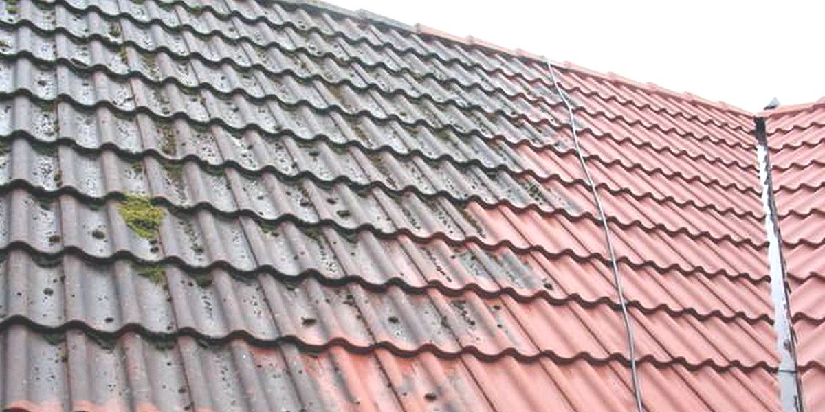 voorbereiding dak ontmossen in @city